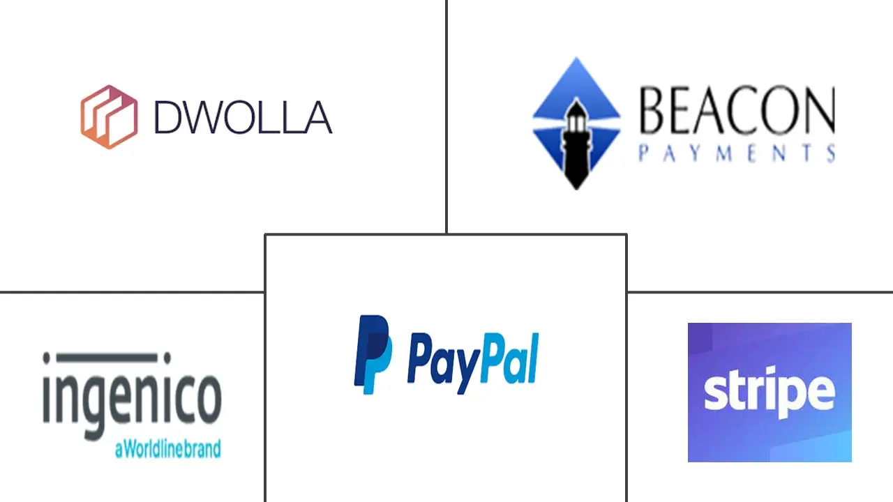 United States Payments Market Key Players Mercado de Pagos de Estados Unidos Jugadores principales