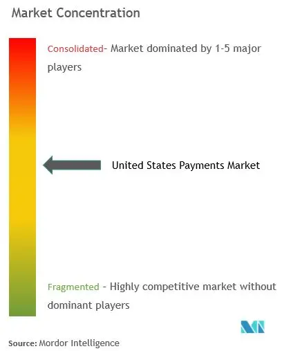 United States Payments Market Concentration