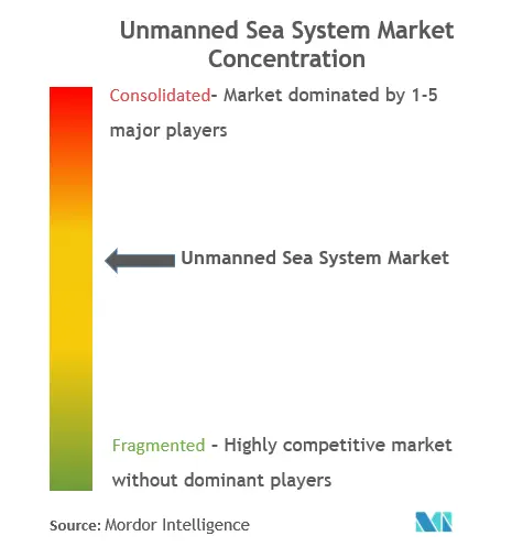 Concentración del mercado de sistemas marítimos no tripulados