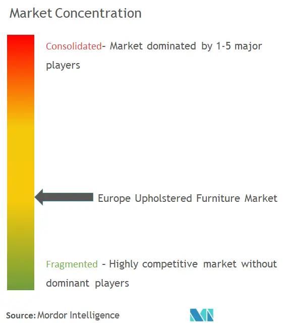 Europe Upholstered Furniture Market Concentration