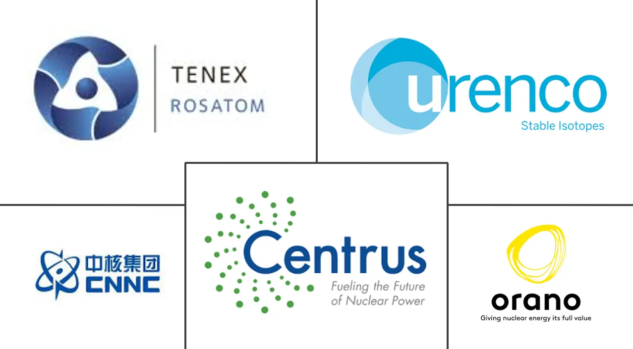 Major players in Uranium Enrichment industry