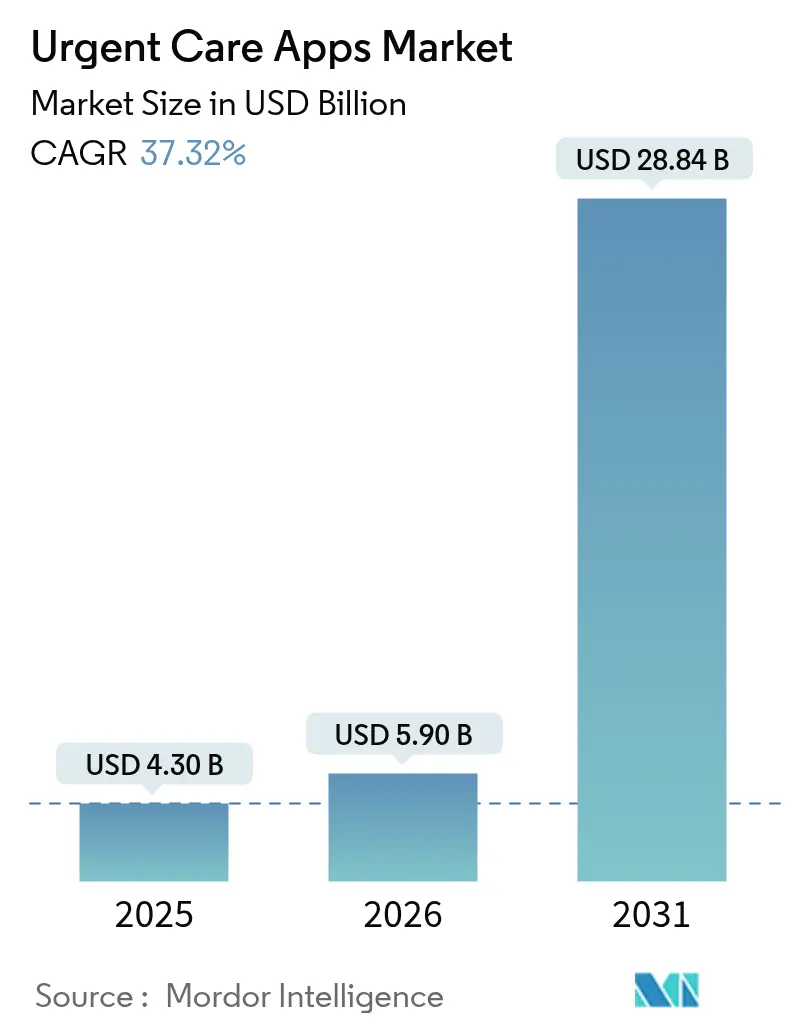 Resumen del mercado de aplicaciones de atención de urgencia