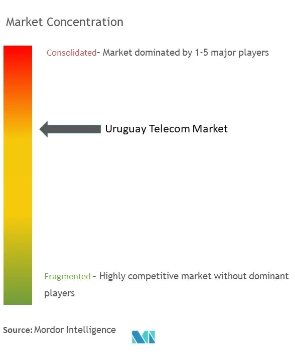 Uruguay Telecom Market Concentration