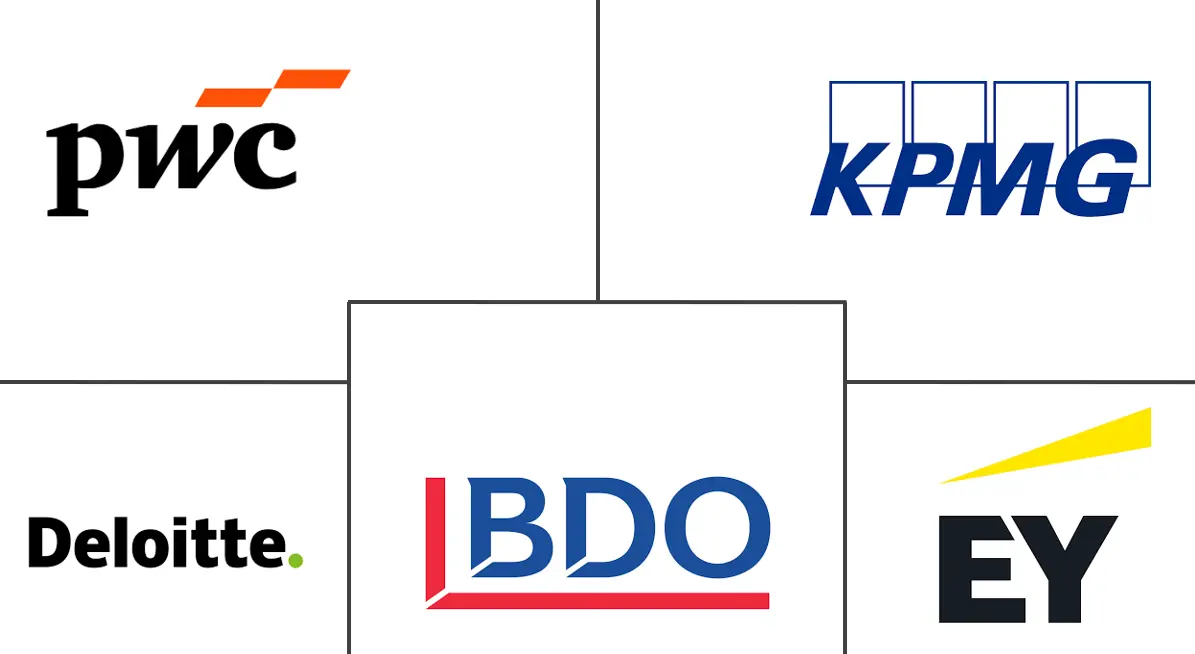 United States Auditing Services Market Key Players 米国监査サービス市场 主要プレーヤー
