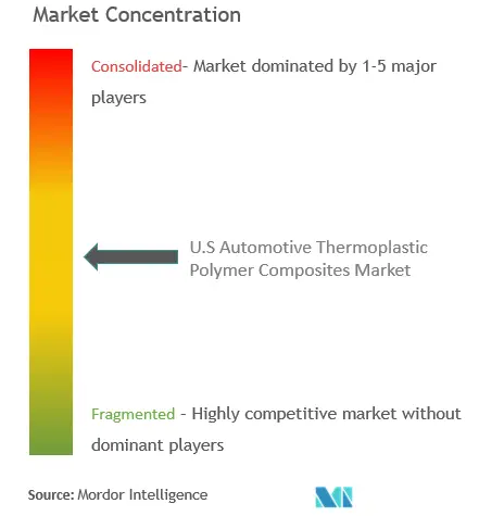 Thermoplastische Polymerverbundstoffe für die Automobilindustrie in den USAMarktkonzentration