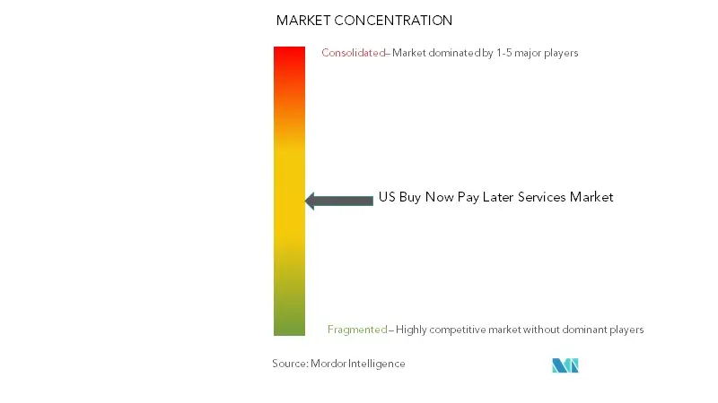 US Buy Now Pay Later Services Market Concentration
