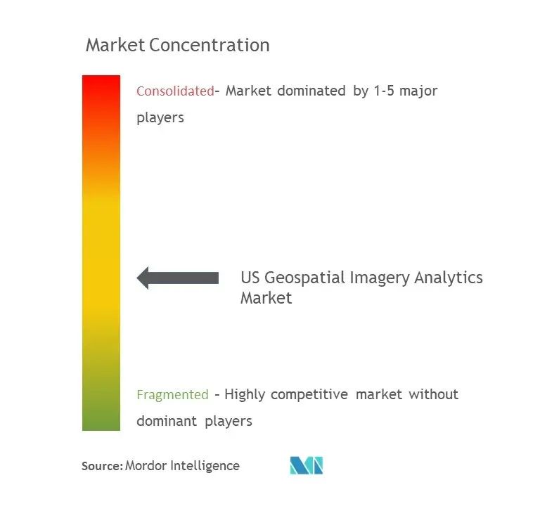 US Geospatial Imagery Analytics Market Concentration