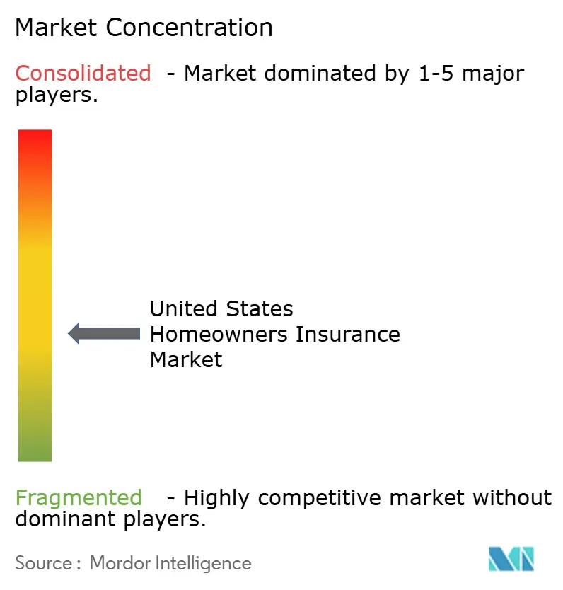 United States Homeowners Insurance Market Concentration