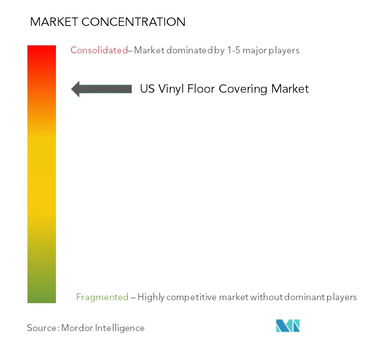 Sàn vinyl Hoa Kỳ bao gồm tập trung thị trường