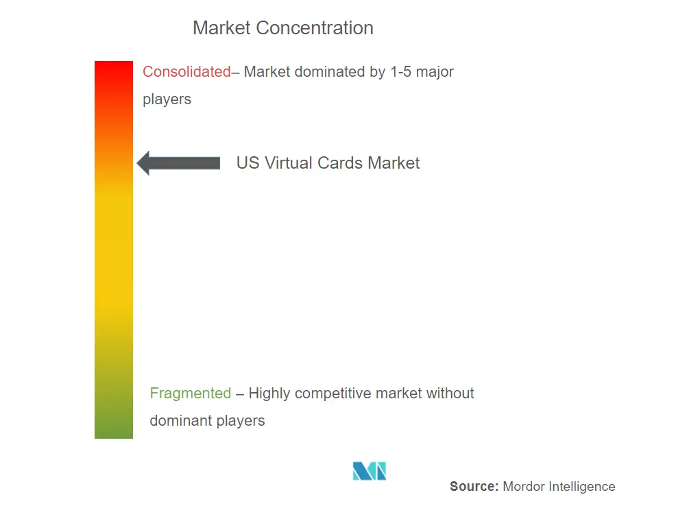 US Virtual Cards Market Concentration