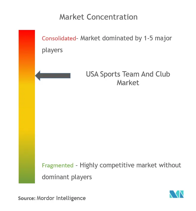 USA Sports Team And Club Market Concentration