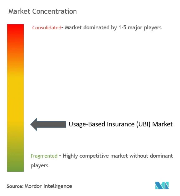 Usage-Based Insurance (UBI) Market Concentration