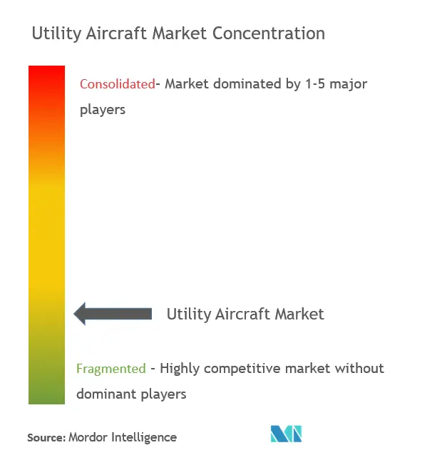 Utility Aircraft Market Concentration