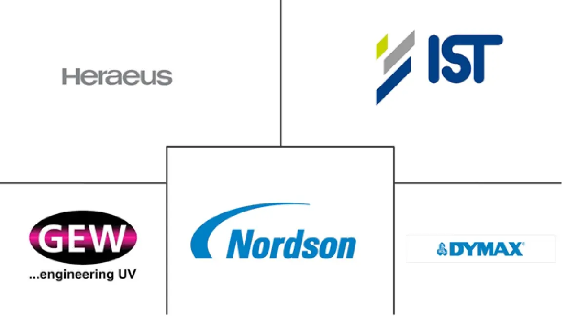 Major players in UV Curing System industry