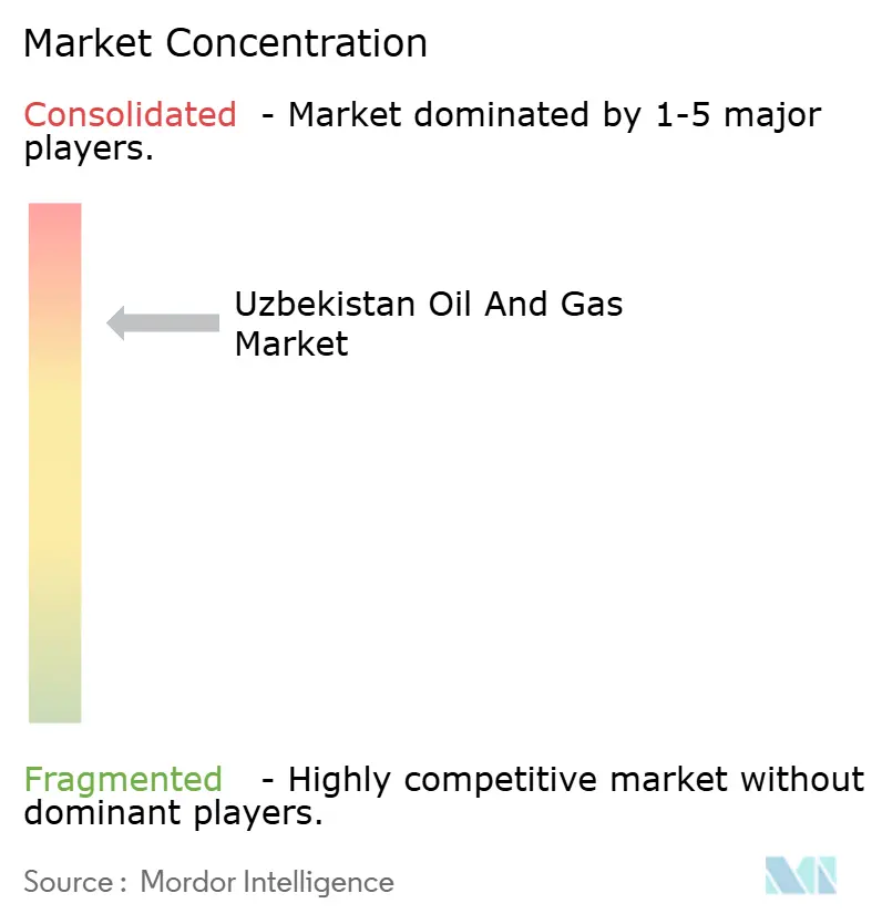 Uzbekistan Oil and Gas Market Concentration