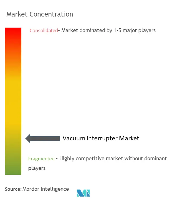 Concentración del mercado de interruptores de vacío