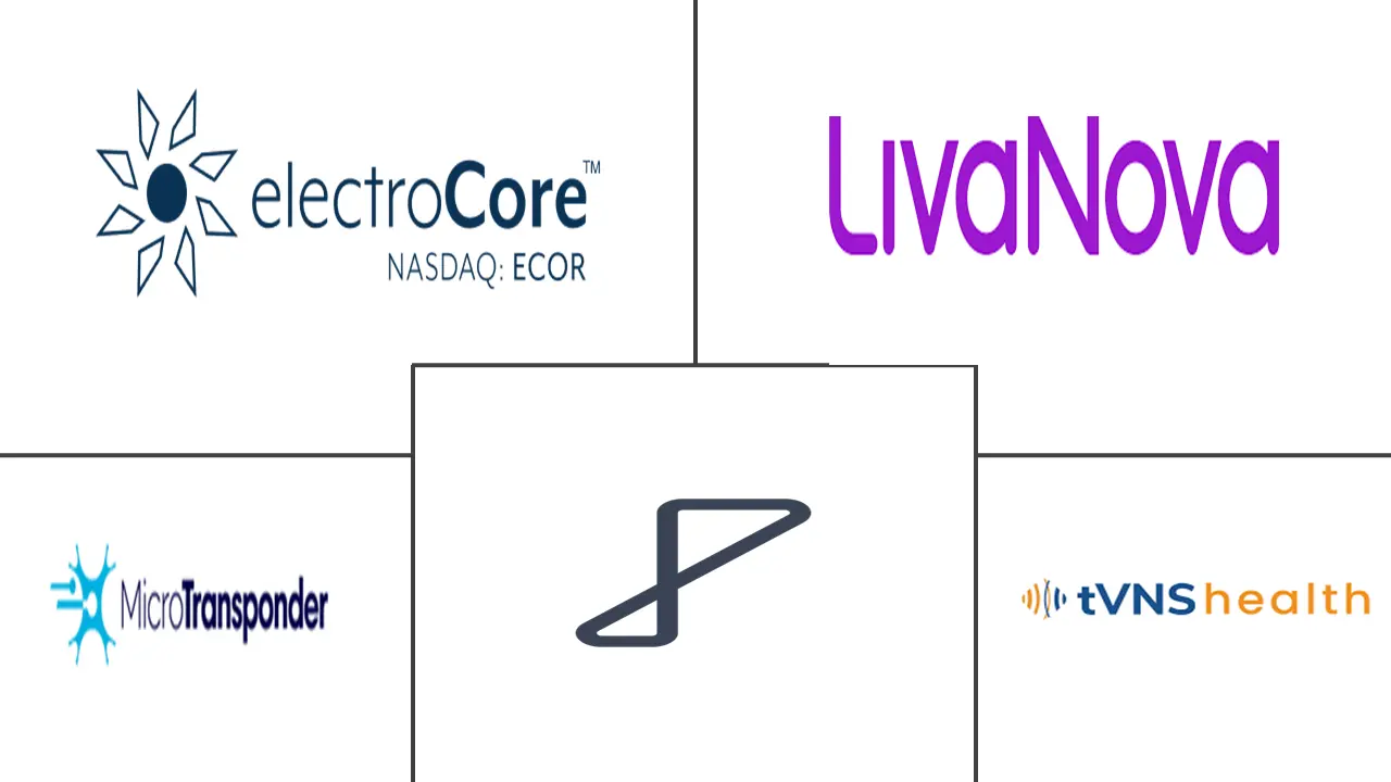 Major players in Vagus Nerve Stimulation industry