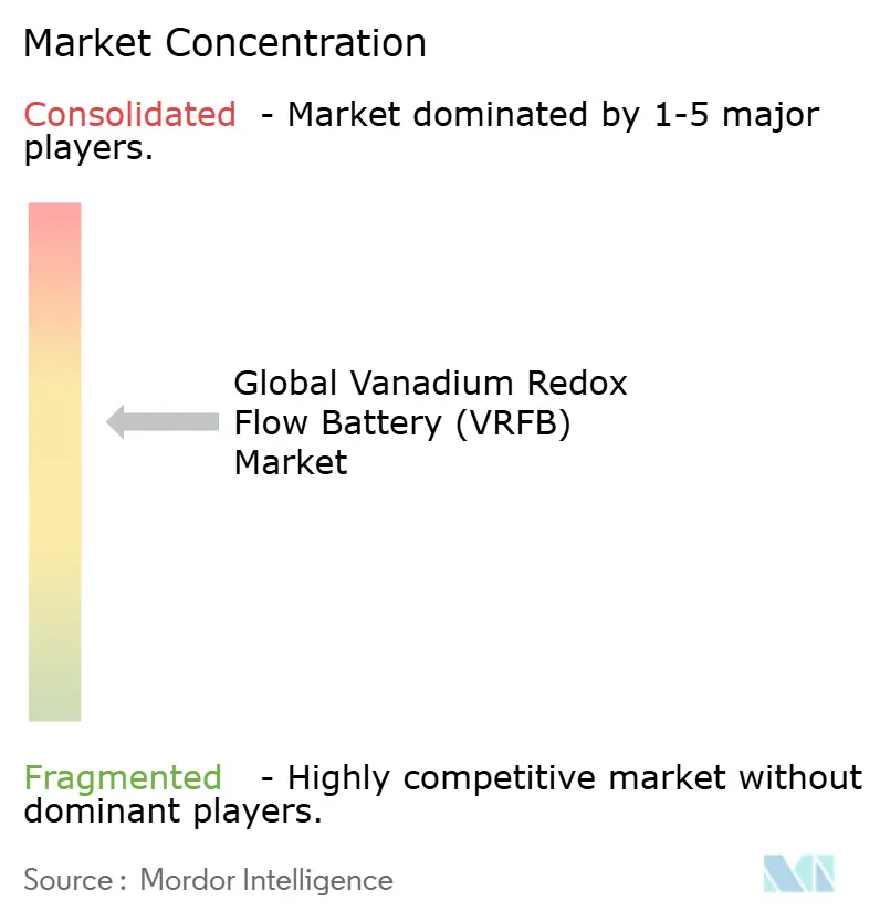 Global Vanadium Redox Flow Battery (VRFB) Market Concentration