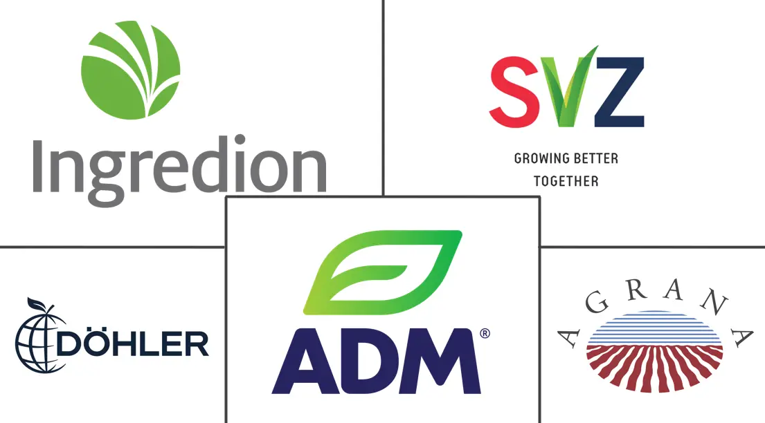 Major players in Vegetable Concentrates industry