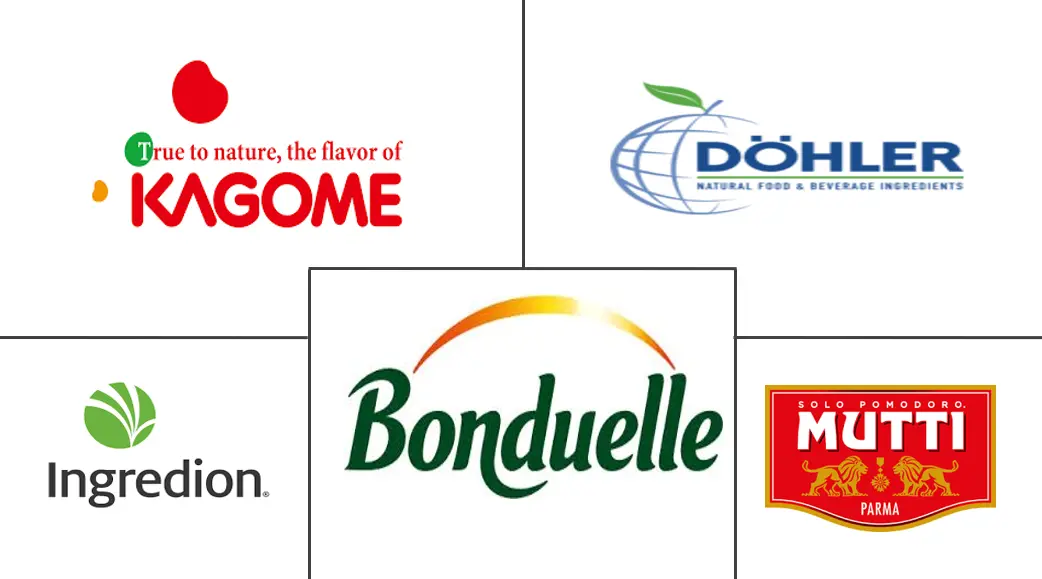 Major players in Vegetable Puree industry