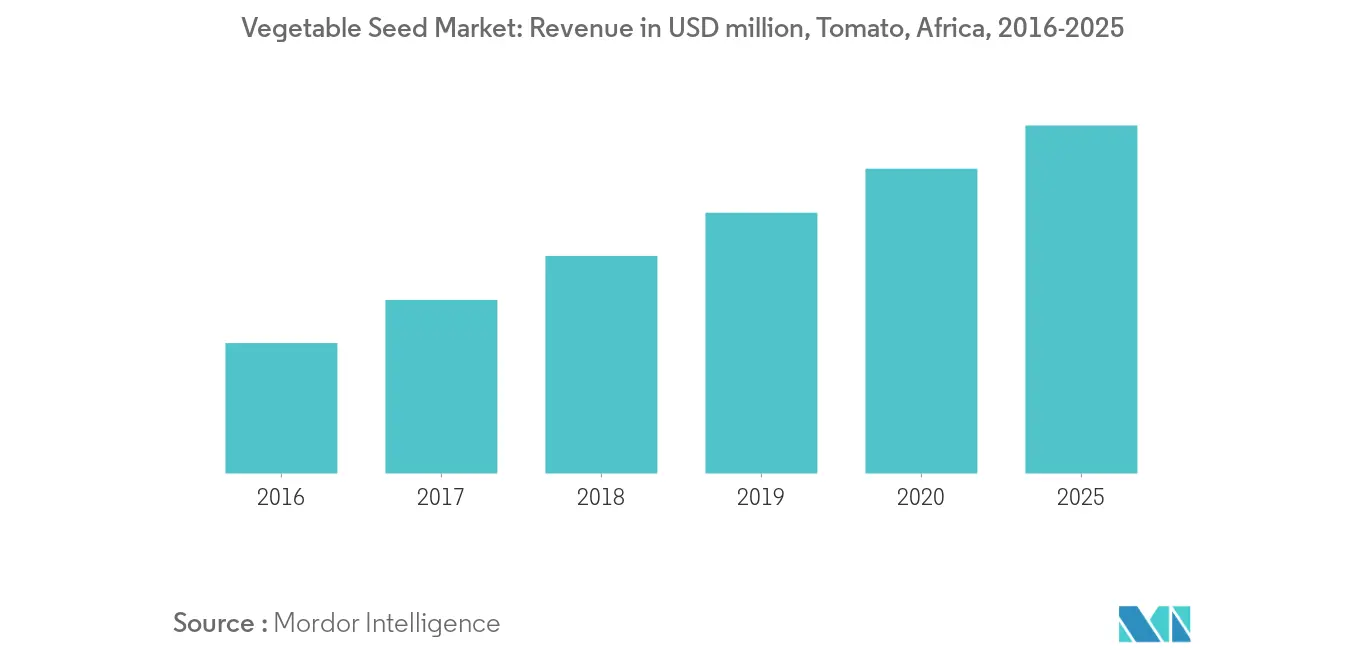 vegetable-seed-market-africa