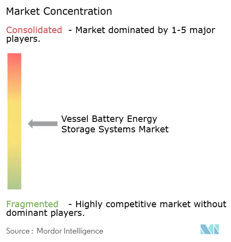 Vessel Battery Energy Storage Systems Market Concentration