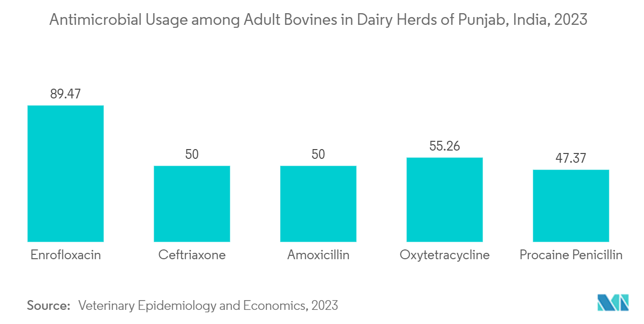 Veterinary Antimicrobial Susceptibility Testing Market: Antimicrobial Usage among Adult Bovines in Dairy Herds of Punjab, India, 2023