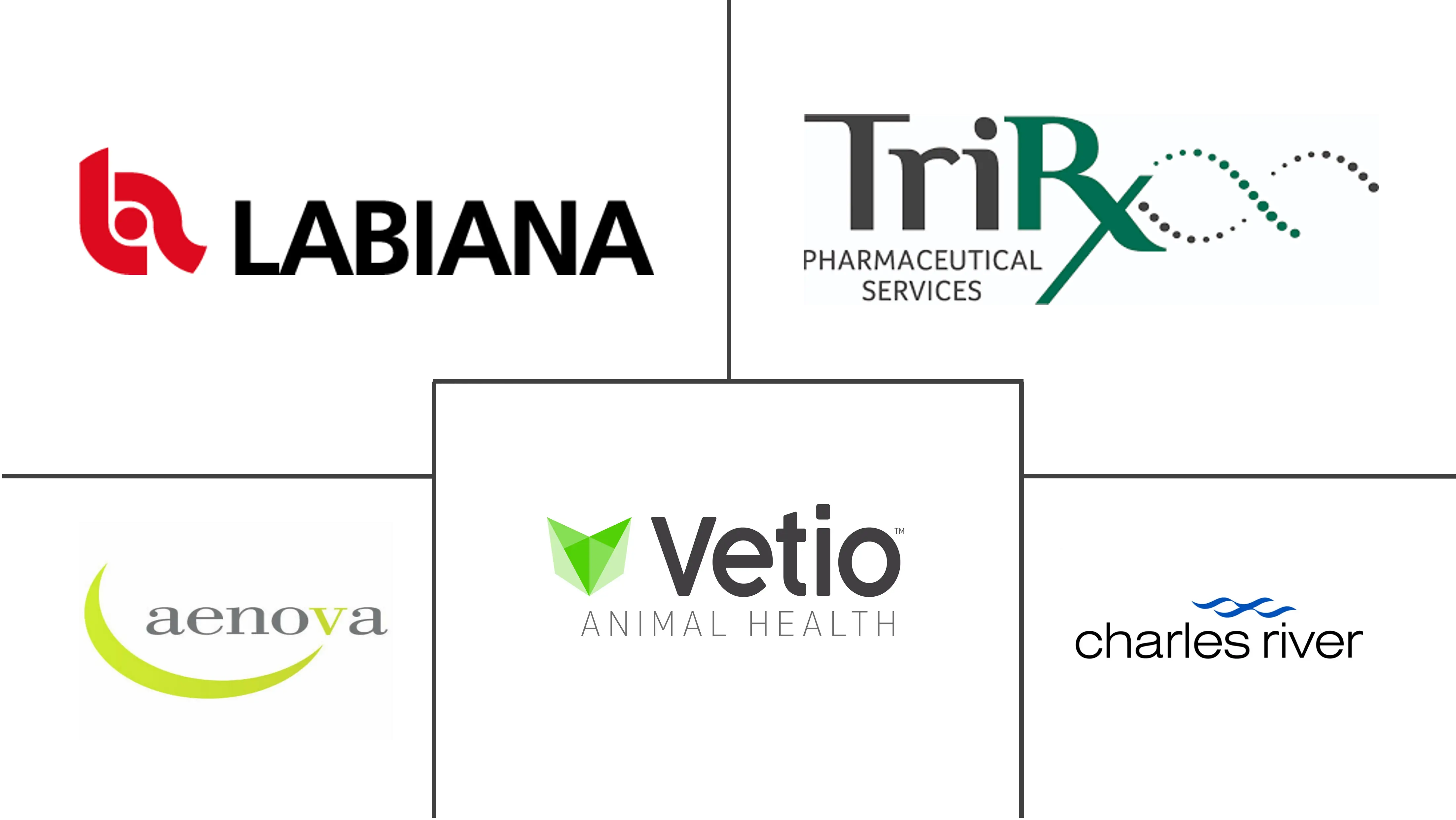 Veterinary Contract Development And Manufacturing Organizations (CDMO) Market Major Players