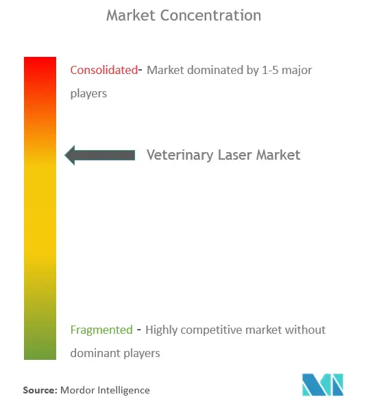 Veterinary Laser Market Concentration