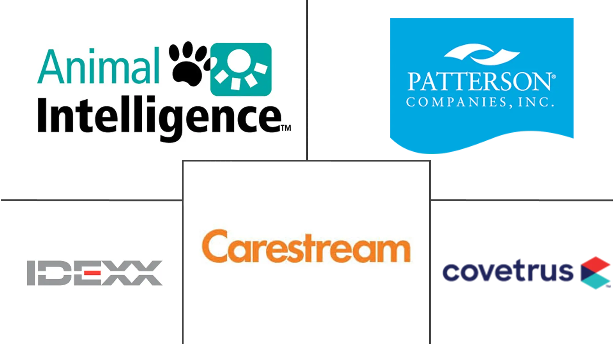 Veterinary Software Market Major Players