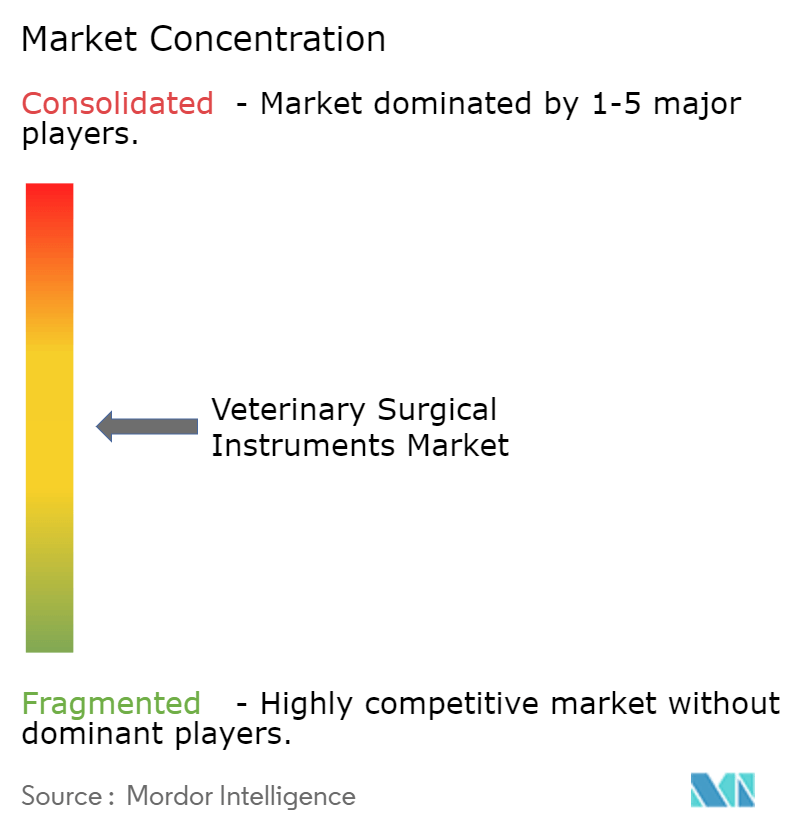 Veterinary Surgical Instruments Market Concentration