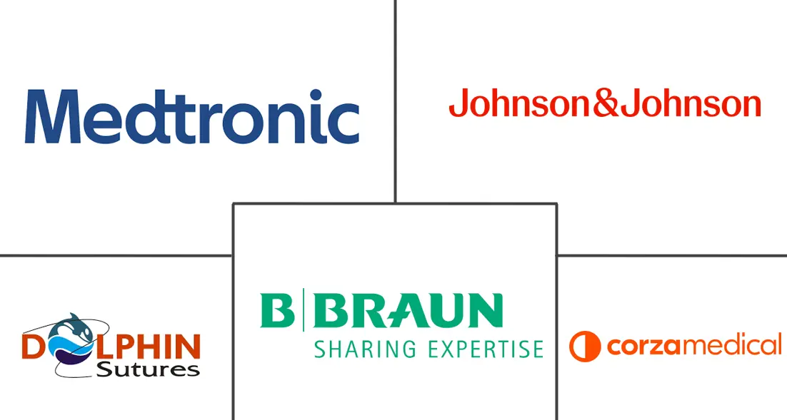 Major players in Veterinary Sutures industry