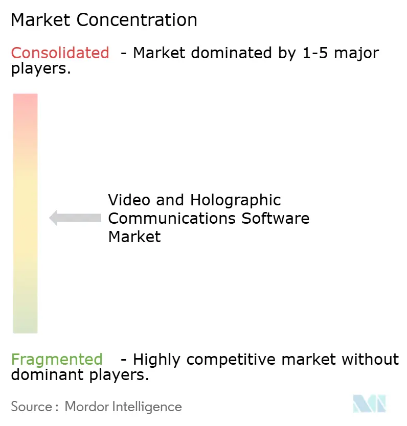 Video and Holographic Communications Software Market Concentration