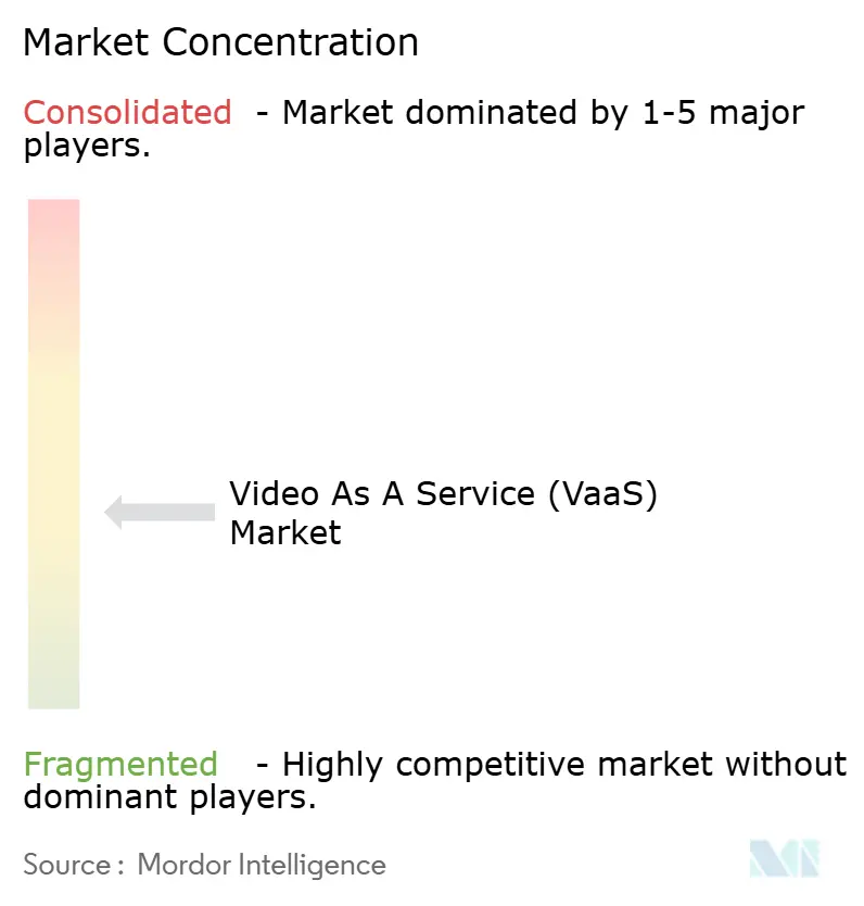 Video-as-a-Service Market Concentration