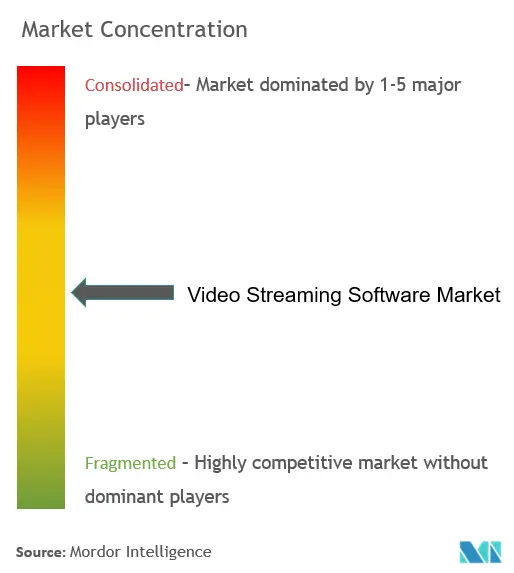 Video Streaming Software Market Concentration