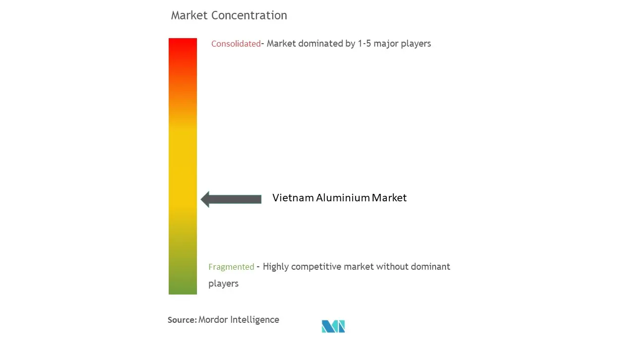 Vietnam Aluminium Market Concentration 