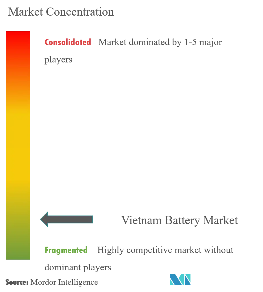 Vietnam Battery Market Concentration