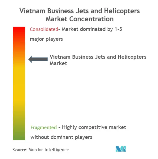 Vietnam Business Jets And Helicopters Market Concentration