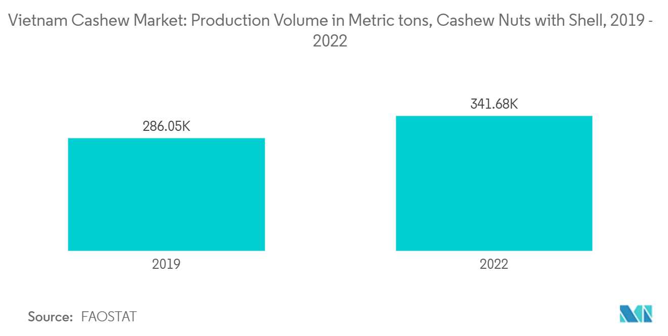 Vietnam Cashew Market: Production Volume in Metric tons, Cashew Nuts with Shell, 2019 - 2022