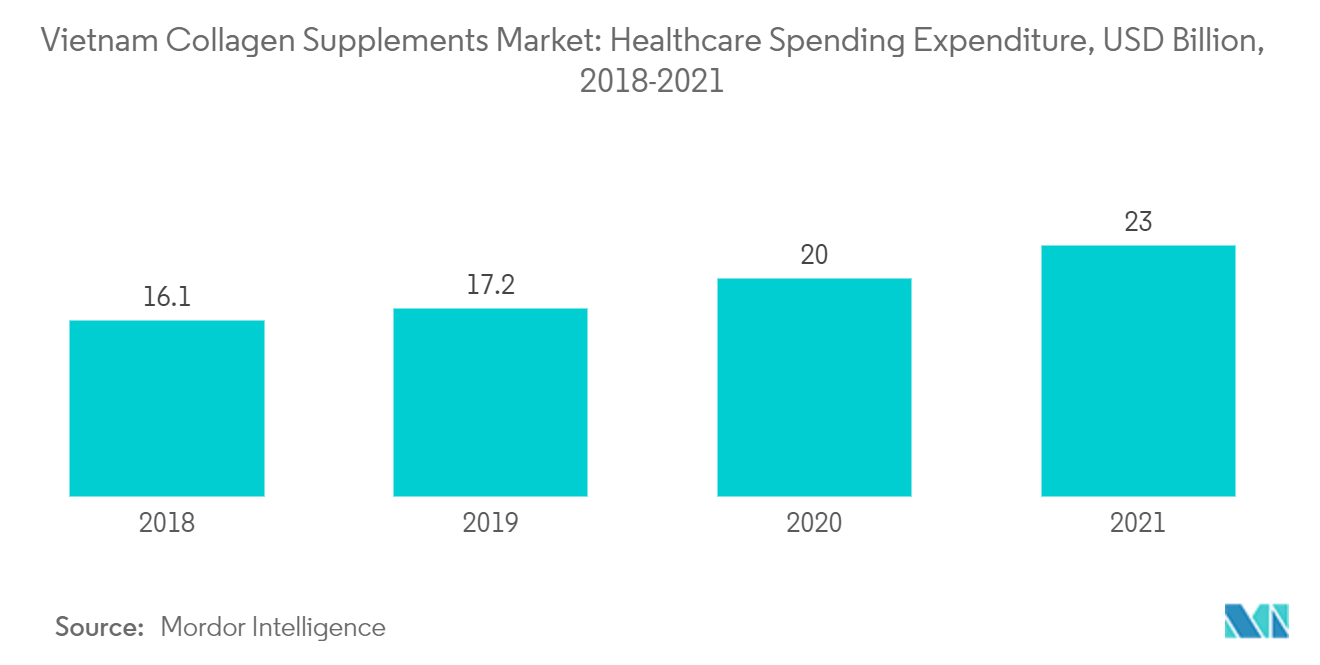 越南胶原蛋白补充剂市场 - 医疗保健支出，十亿美元，2018-2021 年