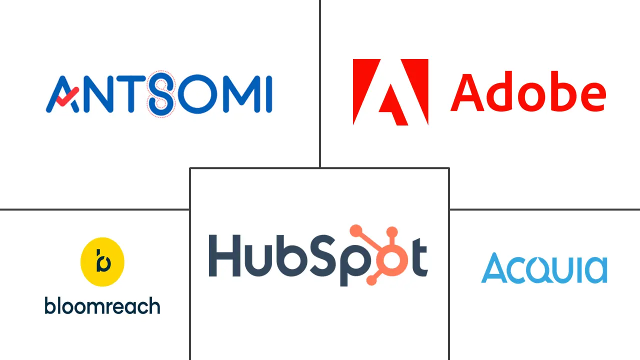 Hauptakteure in Vietnamesischer Customer-Data-Platform-Markt Branche