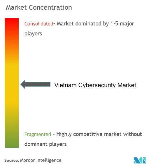 Vietnam Cybersecurity Market Concentration