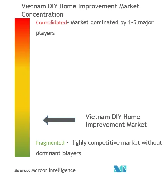 Vietnam DIY Home Improvement Market Concentration