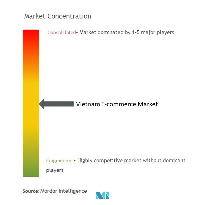 Vietnam E-commerce Market Concentration
