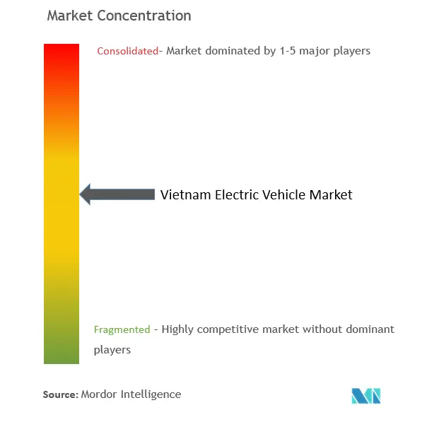 Vietnam Electric Vehicle Market Concentration