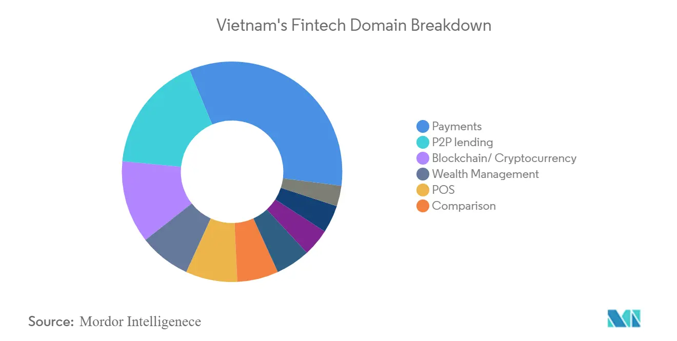 Vietnam Fintech Market Growth
