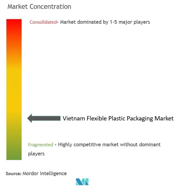 Vietnam Flexible Plastic Packaging Market Concentration