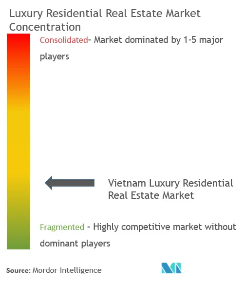 Vietnam Luxury Residential Real Estate Market Concentration