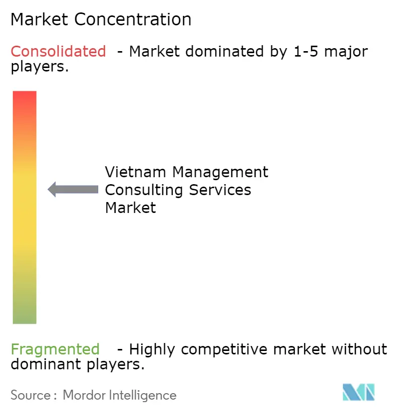 Vietnam Management Consulting Services Market Concentration