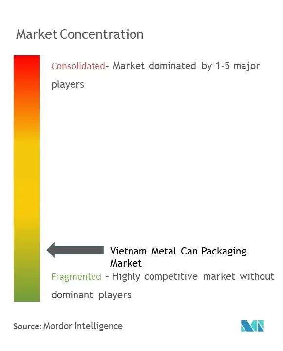 Vietnam Metal Can Packaging Market Concentration